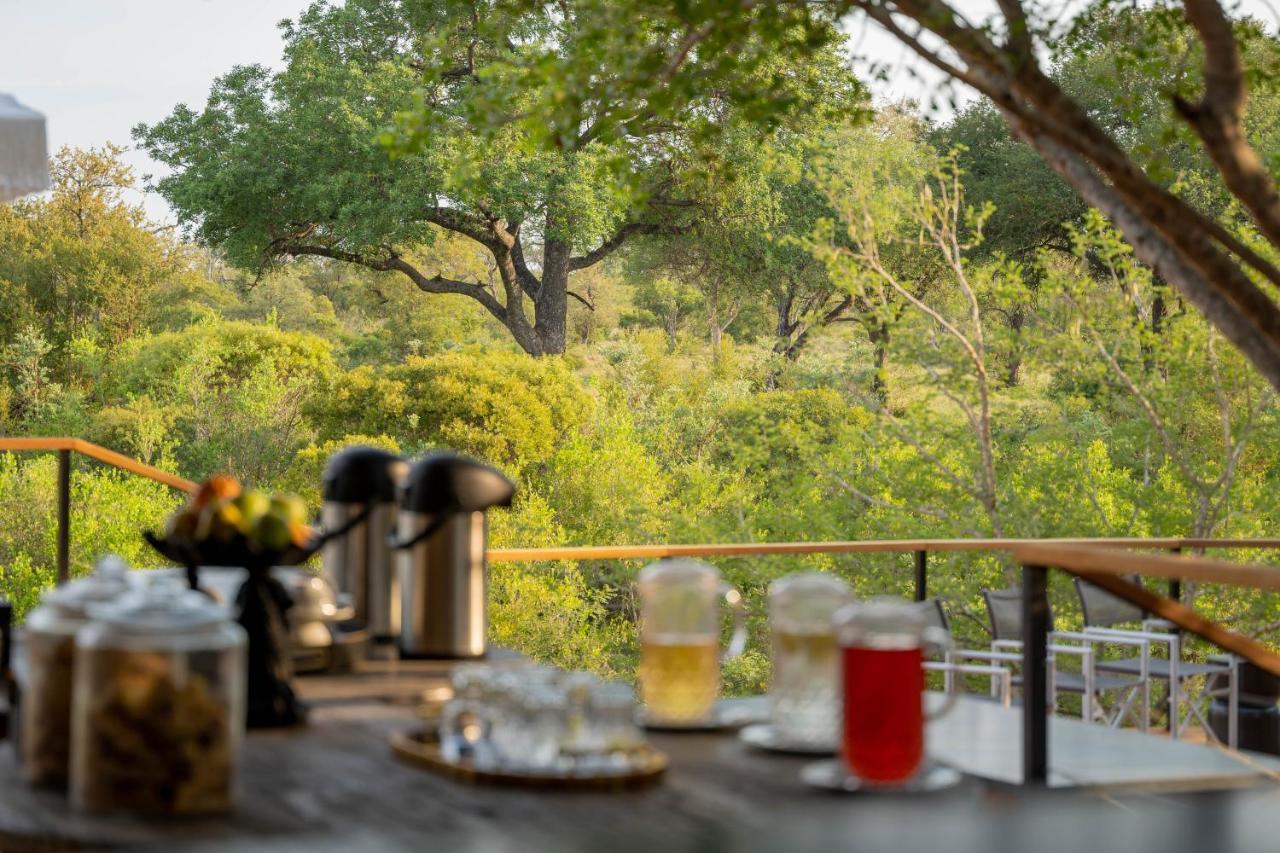 Thornybush Game Lodge Rezervația naturală și safari Thornybush Exterior foto